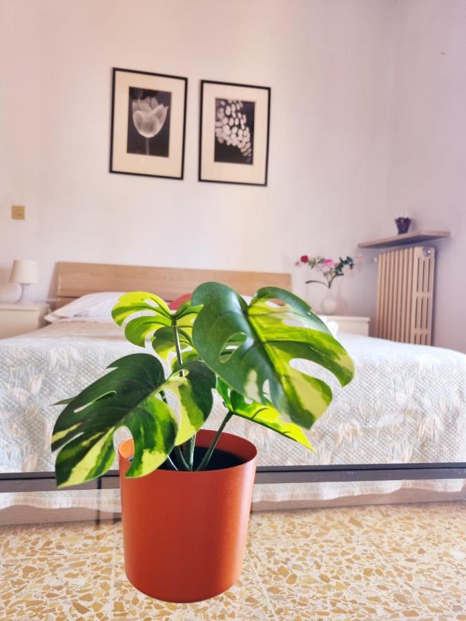 Prime Guest House Pisa Ngoại thất bức ảnh